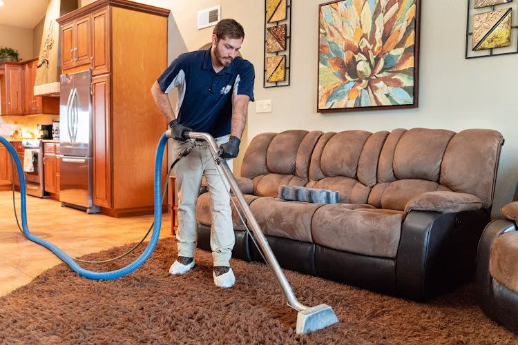 116762 executive carpet services llc