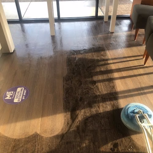 116777 element carpet cleaning 1