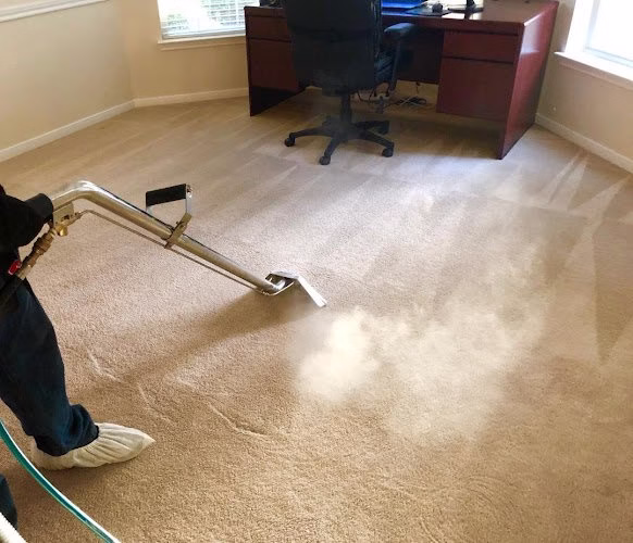 116791 glendale carpet upholstery cleaning 1