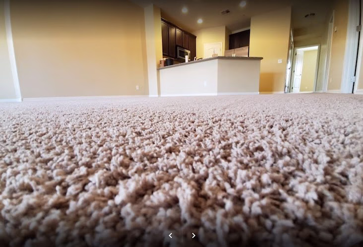 116859 arizona carpet and tile steamers 1