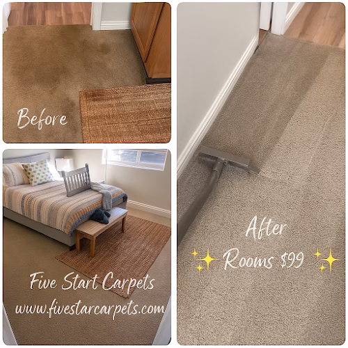 116868 five star carpets upholstery care 1