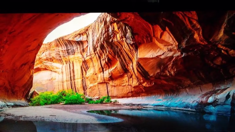 116970 americas best carpet care 768x432