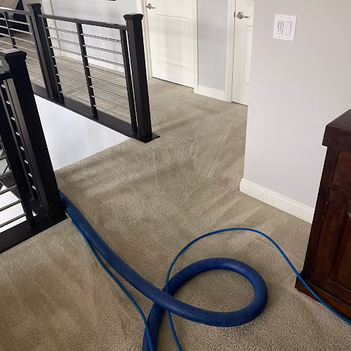 117078 jays carpet cleaning 1