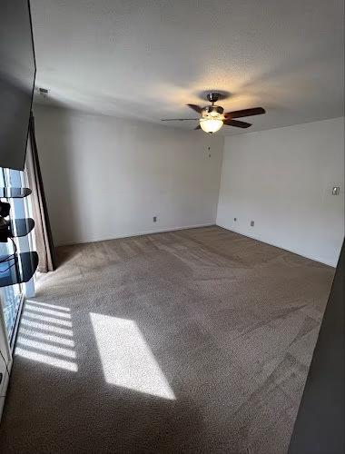 117203 icons professional carpet care and water restoration 1