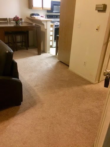 117206 go green carpet upholstery cleaning 1