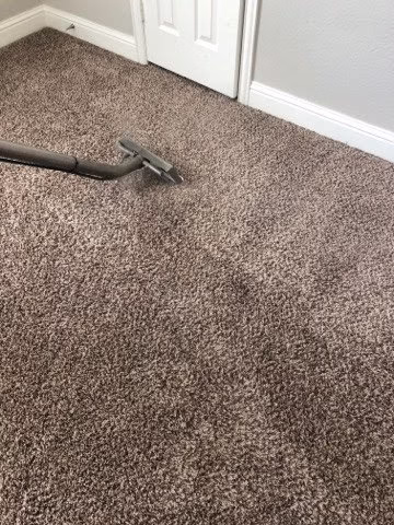 117253 steamwave carpet upholstery care 1