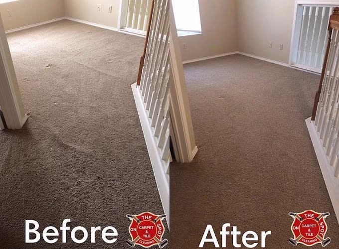 117271 alvaro on the spot carpet cleaning llc 1