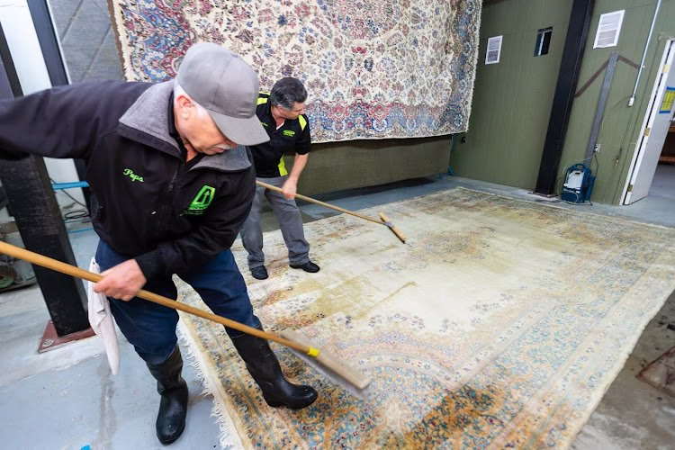 117504 sequoia carpet rug upholstery cleaners 1