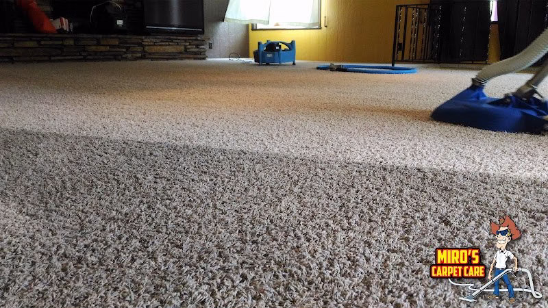 117527 miros carpet care 1