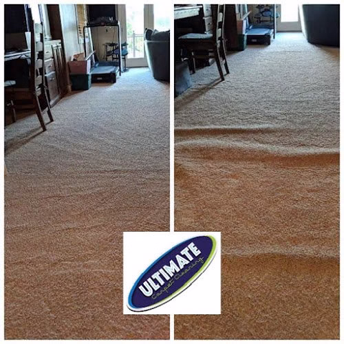 117559 ultimate carpet cleaning 1