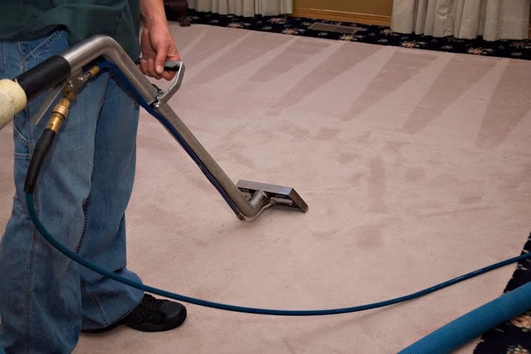 117562 maas carpet cleaning boise 1