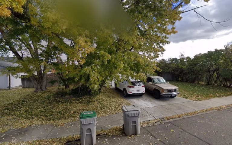 117577 carpet craft 768x480