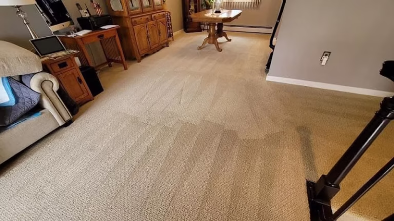 117662 fresh start carpet cleaning llc 1 768x432