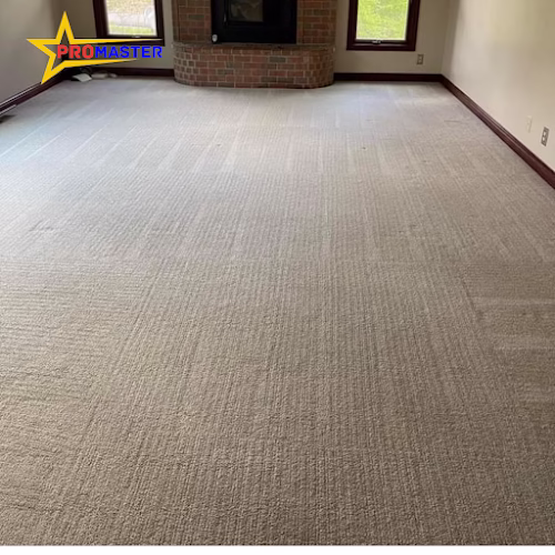 117889 pro master cleaning services llc 1