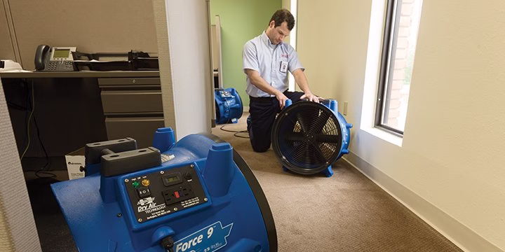 117922 rainbow international 1