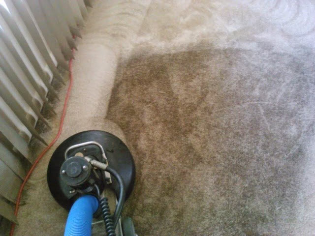 117963 don and sons carpet cleaning 1