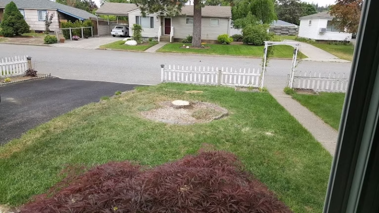 117987 gardner carpet upholstery 768x432