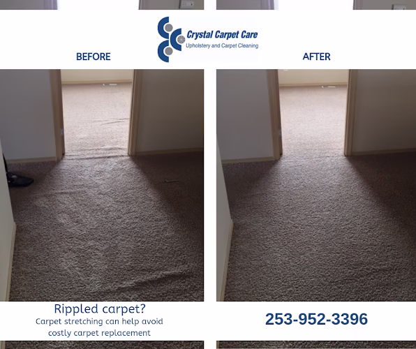118245 crystal carpet care 1
