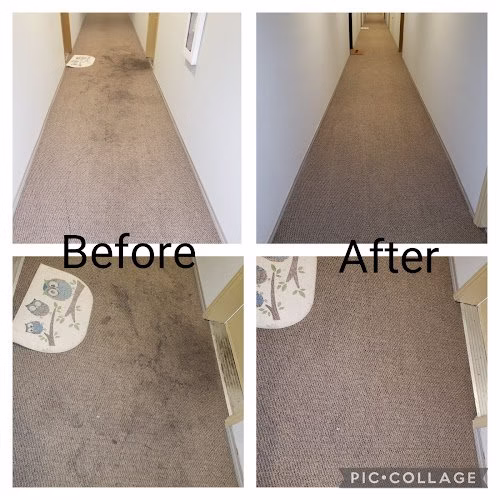 118248 sparkling kleen 1