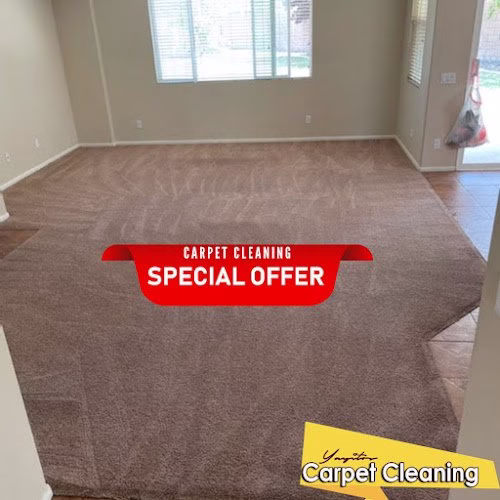 118575 yayitos carpet cleaning