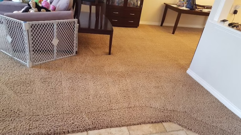 118740 coastal breeze carpet care 1 768x432