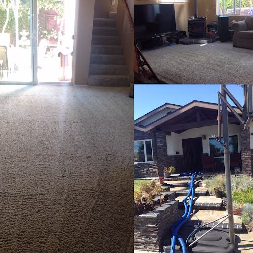 118776 billys carpet care 1