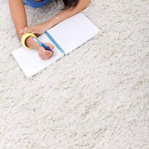 118809 ecc carpet upholstery 1