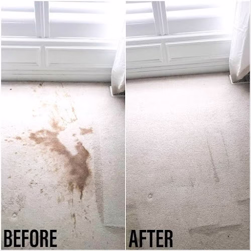 118947 dupage carpet cleaning and restoration inc 1
