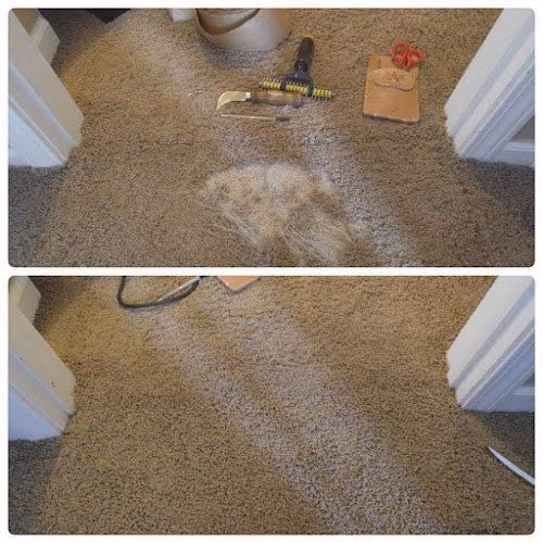 118996 riverside carpet cleaning 1