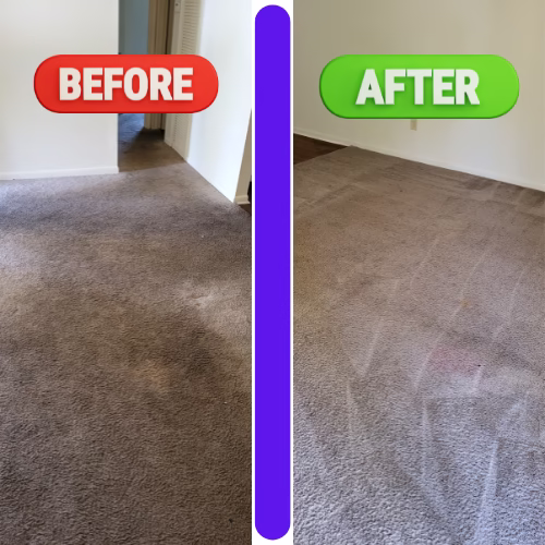 119051 weaver steamer carpet cleaner 1