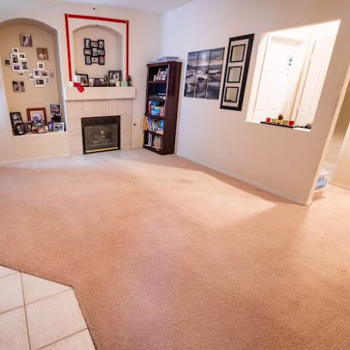 119563 universal carpet cleaning 1