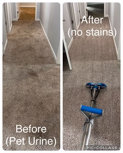 119633 stain away carpet cleaning 1