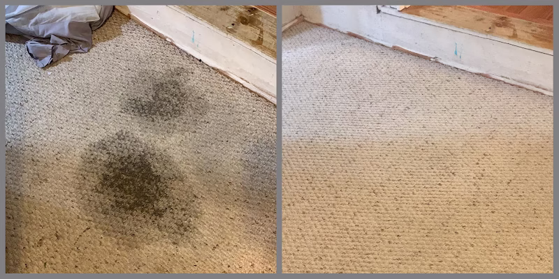 120160 carpet cleaning in cullman alabama 1