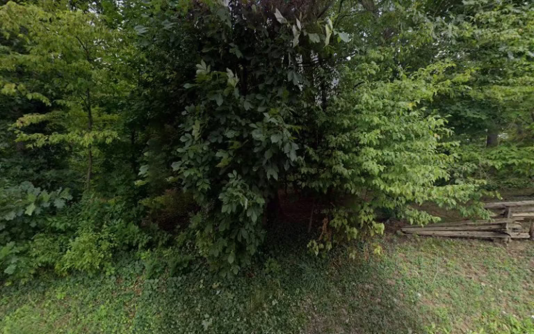 120958 t e griffith septic services 1 768x480