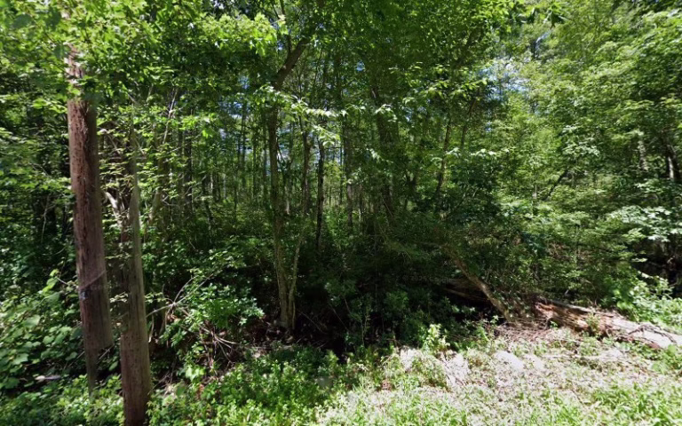 121980 echo septic services llc 768x480