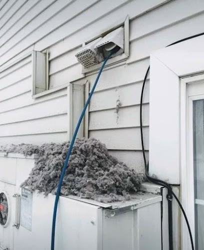 125030 cleaning queens solutions llc 1