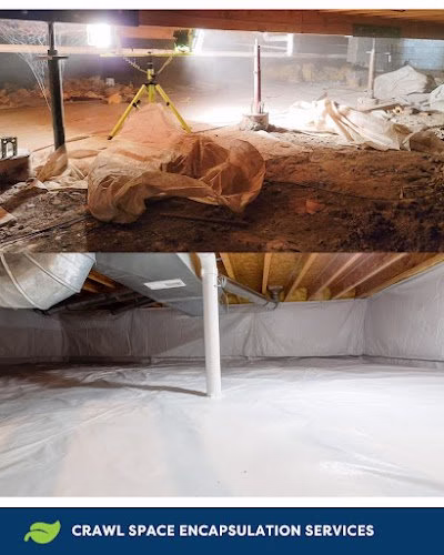 125965 koala insulation of the east valley 1