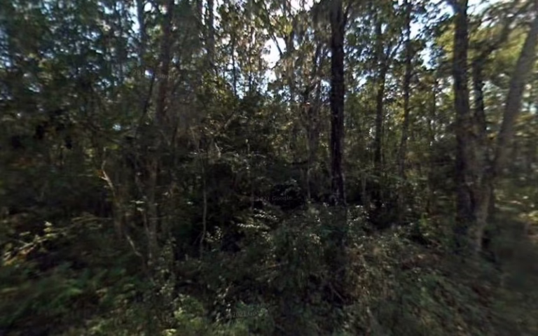 127017 znd al attic solution insulations dryer vent cleaning service florida 768x480