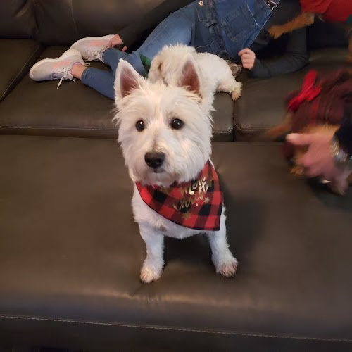 127199 masters insulation south 1