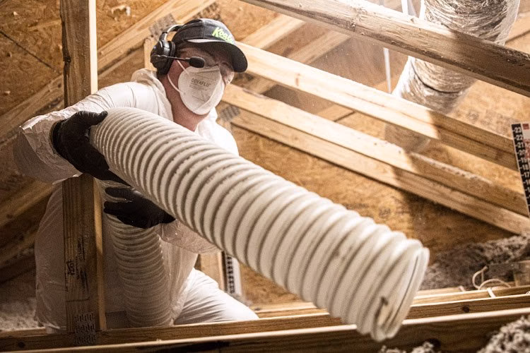 127632 koala insulation of denver 1