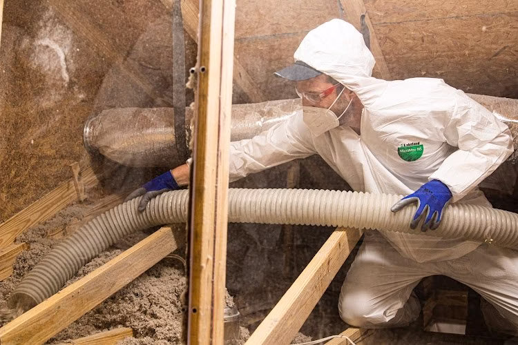 128425 koala insulation of las vegas 1