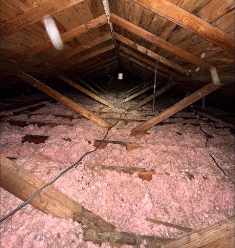 129534 mr attic insulation cleaning 1