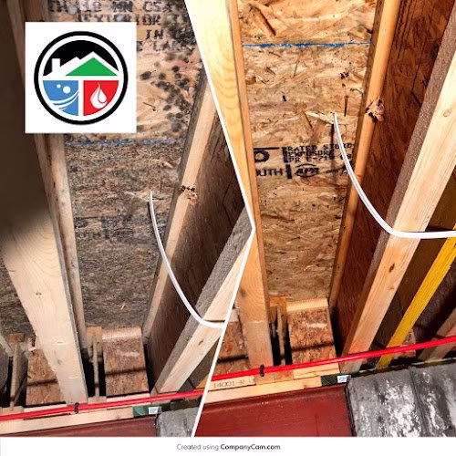 129711 executive pro dry water sewage mold remediation 8211 colorado springs co