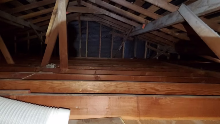 130335 trioteam 1 768x432