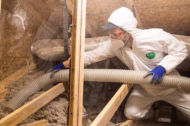 130370 koala insulation of st paul