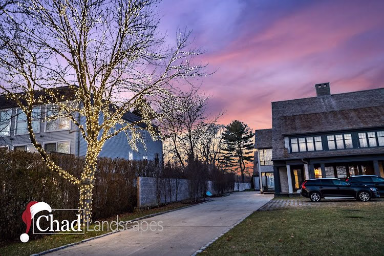 132338 chad landscapes inc 1