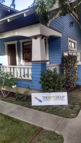 132921 the ant group 1