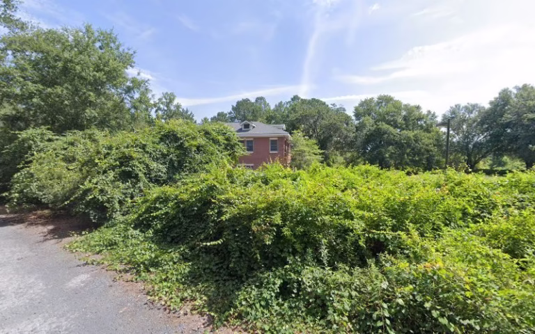 133346 dolphin architects and builders 1 768x480