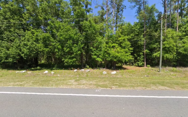 133512 zamia design 1 768x480