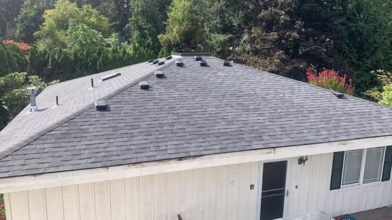 134900 buzzline roofing 1 768x432